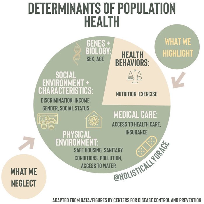 Determinants of health by @holisticallygrace