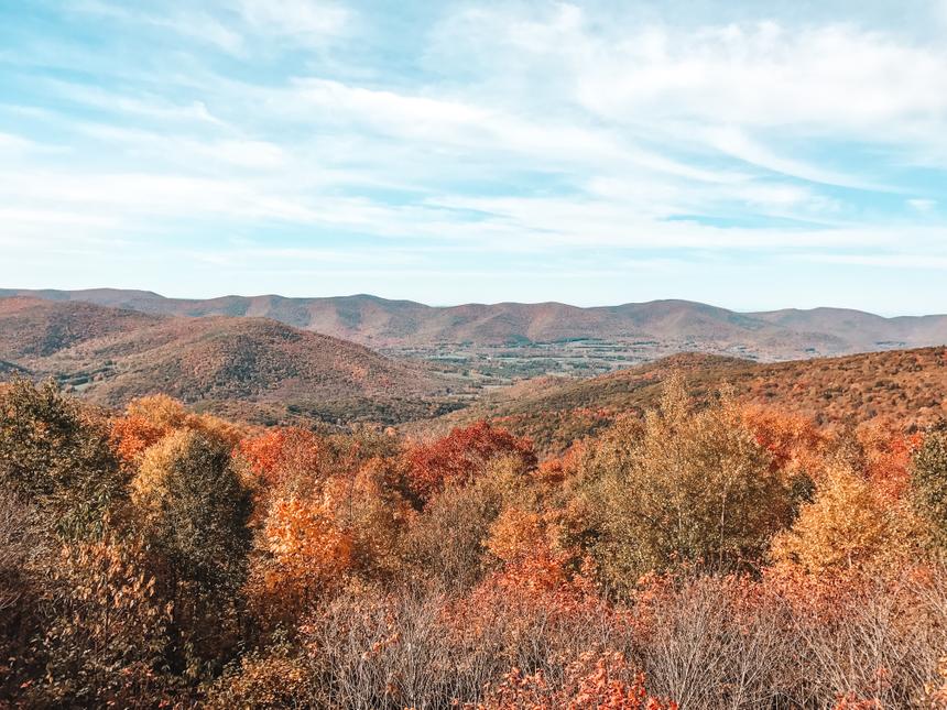 Rolling hills with fall foliage that are set against a blue sky.