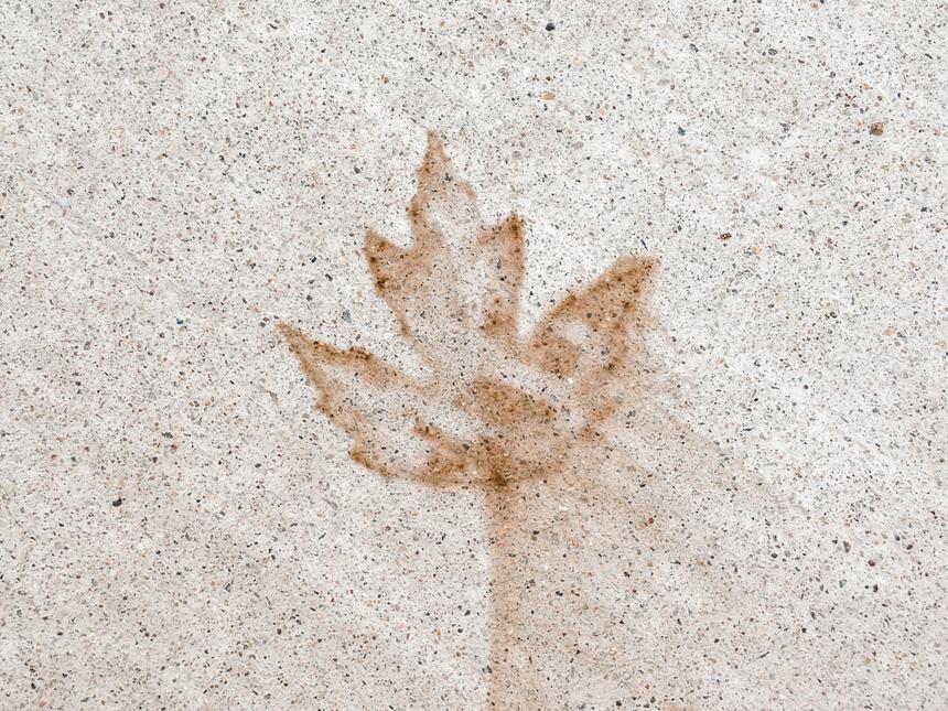 An brown outline of a fallen tree leave that has been left on the sidewalk.